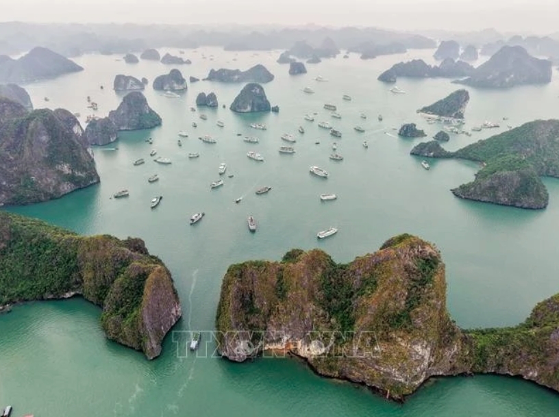 Quang Ninh boosts cruise tourism to lure international visitors